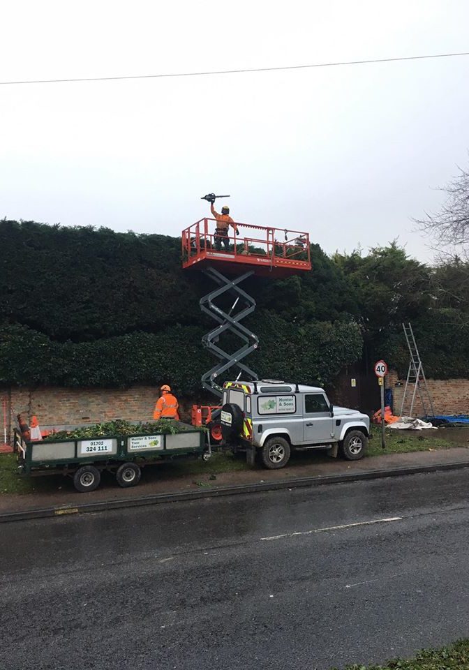 roadside hedge trimming